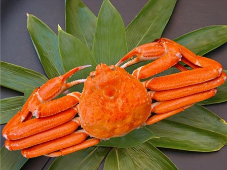 中部発 日帰り ジャムジャムプレミアム蟹ツアー 本ズワイガニ500gや甘エビ1kgなど北陸の名産品が当たる大抽選会開催!!活かにづくし2